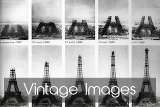 成色18k.8811.7v黑莓