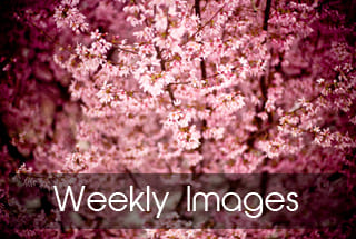 成色18k.8811.7v黑莓哪个厂家好-山东国康全自动技术检测人体成色18k.8811.7v黑莓器生产厂家品牌亮眼